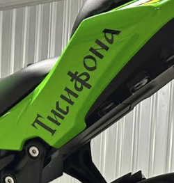 Dettaglio della scritta personalizzata in caratteri latini sull'altro lato della moto Kawasaki verde